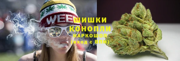 меф Арсеньев