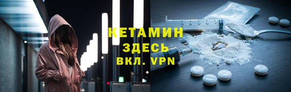 стаф Аркадак