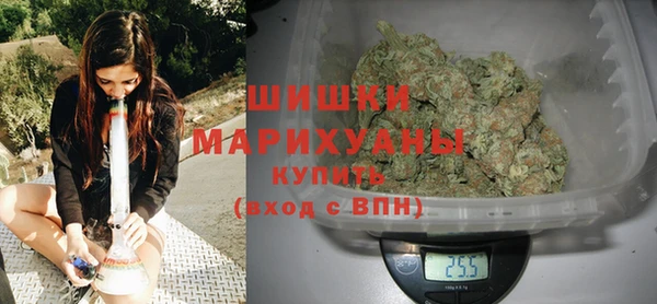 стаф Аркадак
