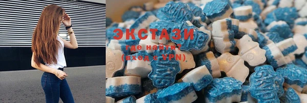 стаф Аркадак