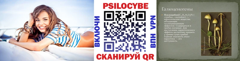 Псилоцибиновые грибы Psilocybine cubensis  Починок 